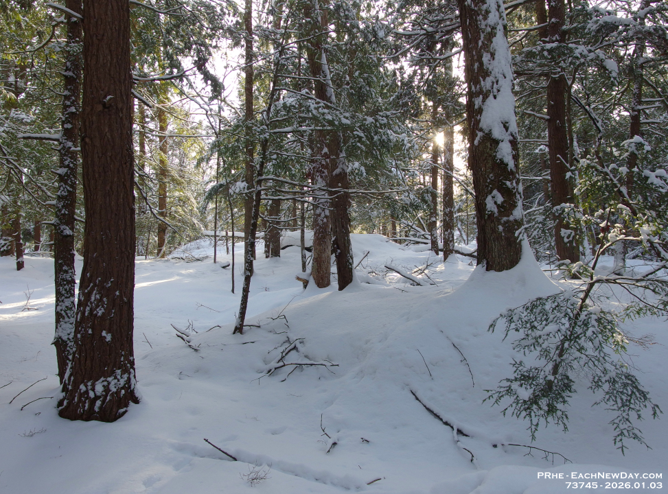73745CrReLe - Snowshoeing with John - Deb